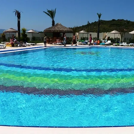 Turquoise *